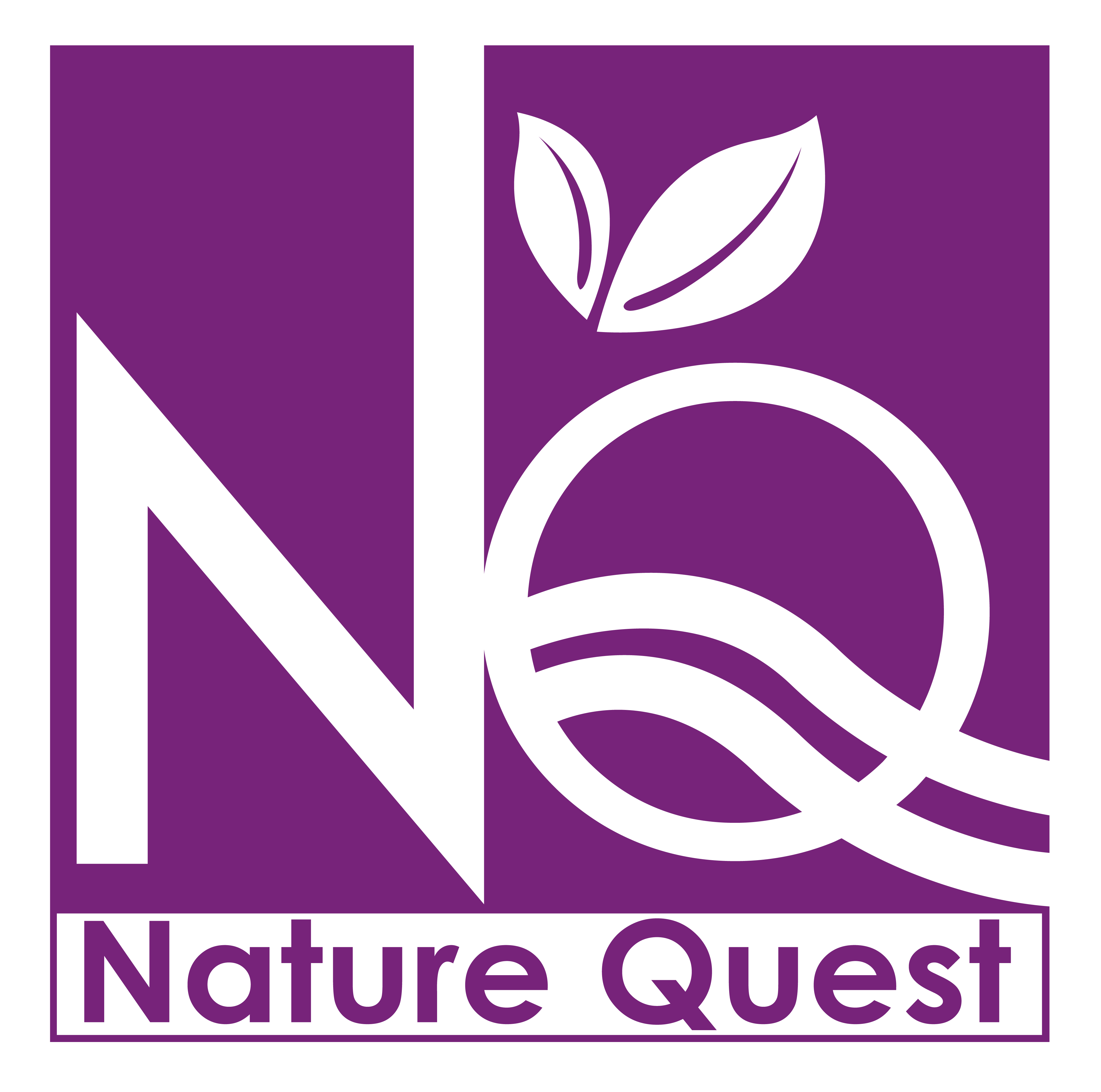 NQ Logo