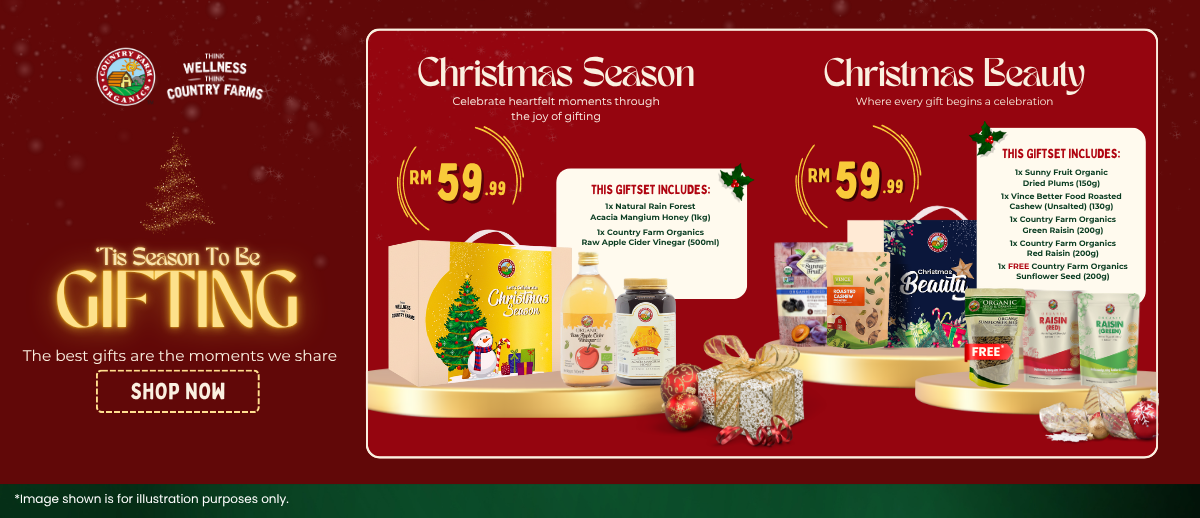 CHRISTMAS 25 WEBSITE BANNER