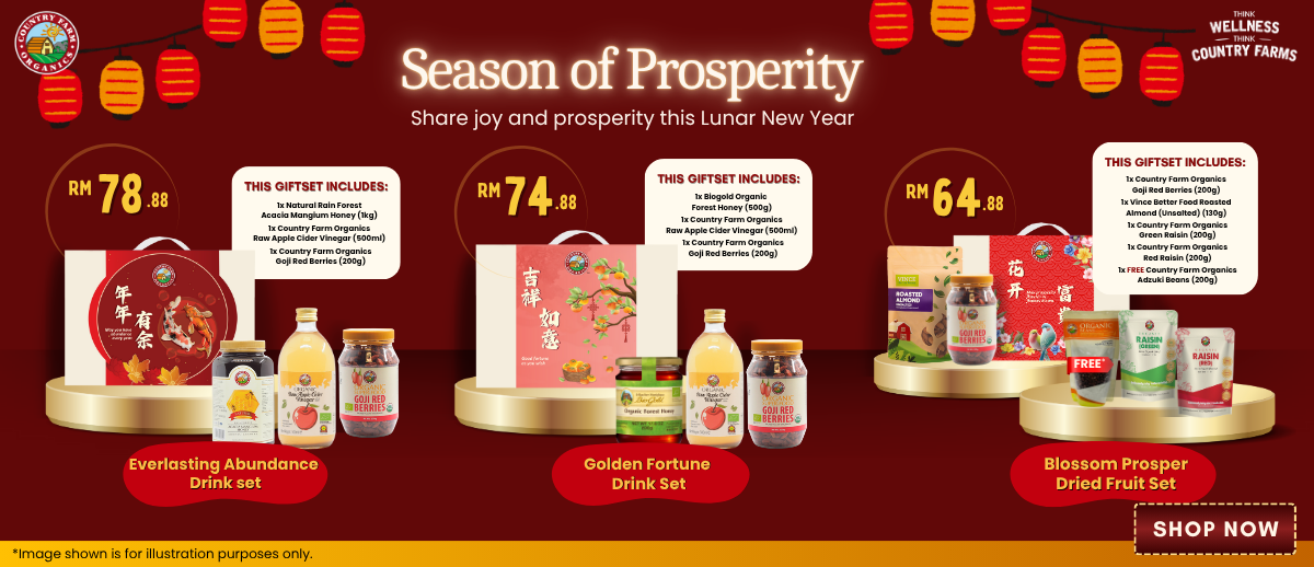 CNY 26 WEBSITE BANNER
