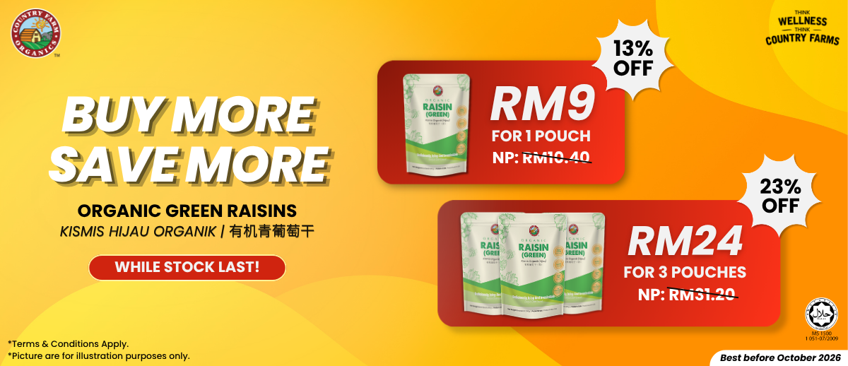 CLEARANCE SALE - RAISINS POUCH